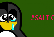 salt远程执行漏洞详解-运维军团